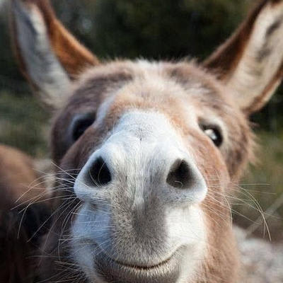 Mix profile picture for @beefcake