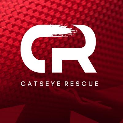 Catseye Motorsport Rescue