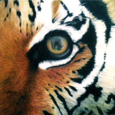 Mix profile picture for @tusk