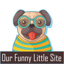 Our Funny Little Site