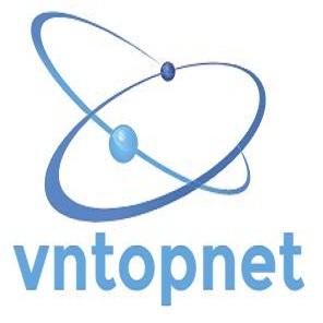 vntopnet2411