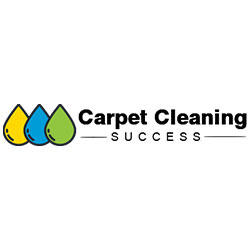 Carpet Cleaning Success