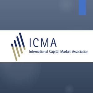 ICMA Debt Securities Capital Management