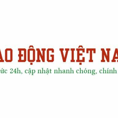 Lao động Việt Nam