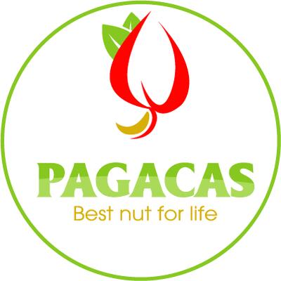 Hạt điều Pagacas