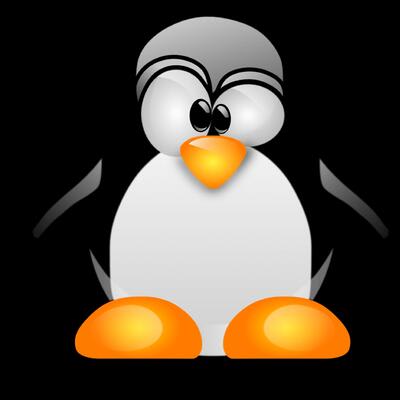 Linux Labs