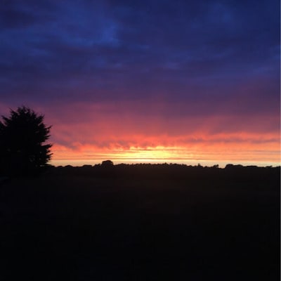 Mix profile picture for @nervous