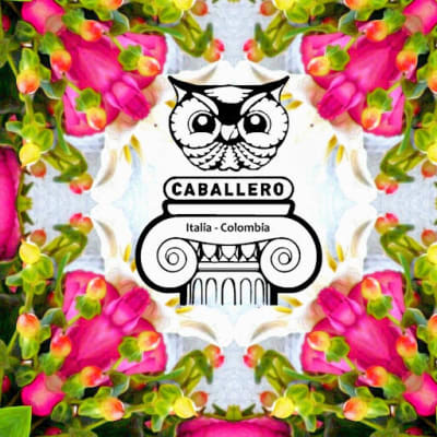 Mix profile picture for @caballero