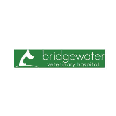 Mix profile picture for @bridgewater