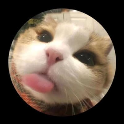 Mix profile picture for @workflow