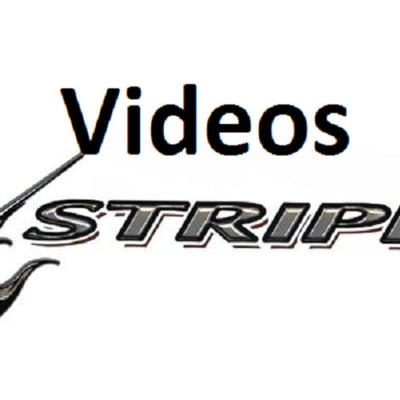 Vidoes Stripper