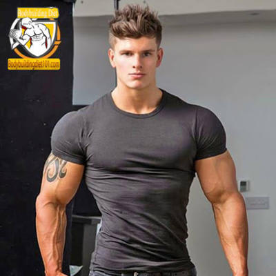 Bodybuildingdiet101.com