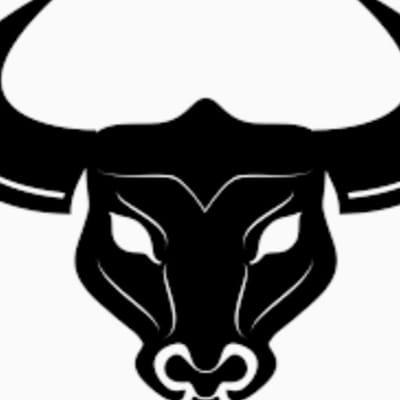 Mix profile picture for @bull