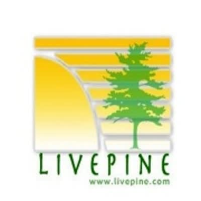 Live Pine