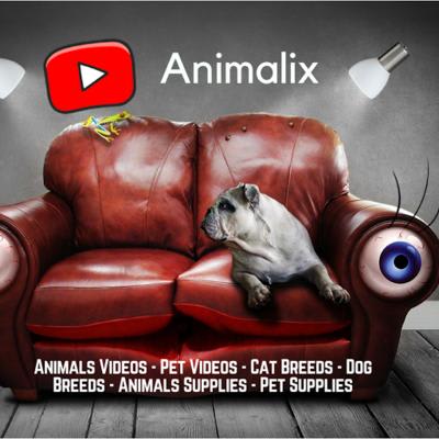 Animalix Products