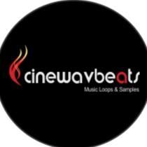 cinewavbeats Musicians Libaray