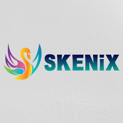 Skenix Infotech | Web App Development