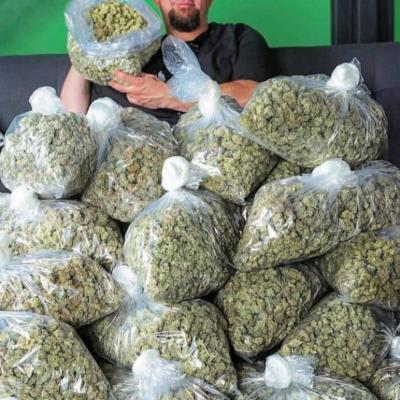 cannabis bud market