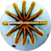 Organical Botanicals