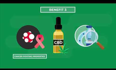 CBD Oil - Top CBD Health Benefits And Uses
