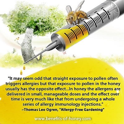 Local Honey is #1 Pollen Allergy Cure