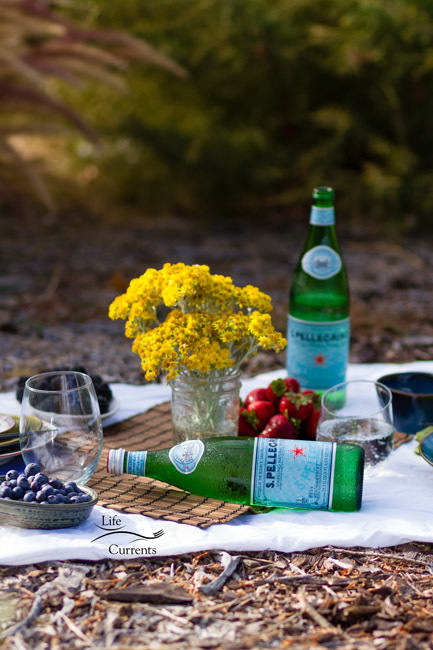 How to host the perfect summer picnic - Life Currents
