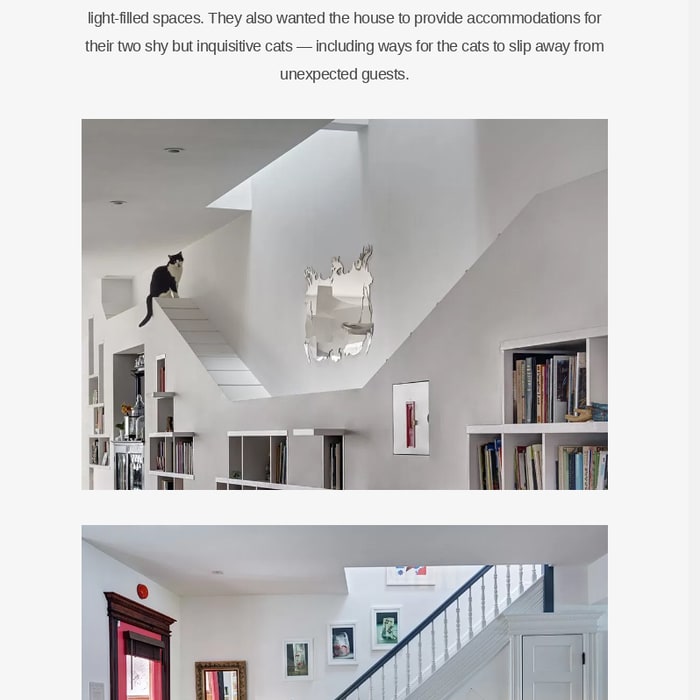 House for Booklovers and Cats