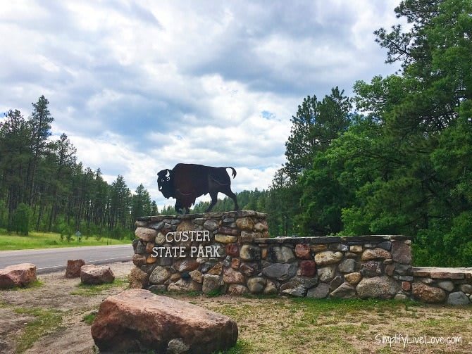 Two Amazing Drives to Take at Custer State Park, South Dakota - Simplify, Live, Love