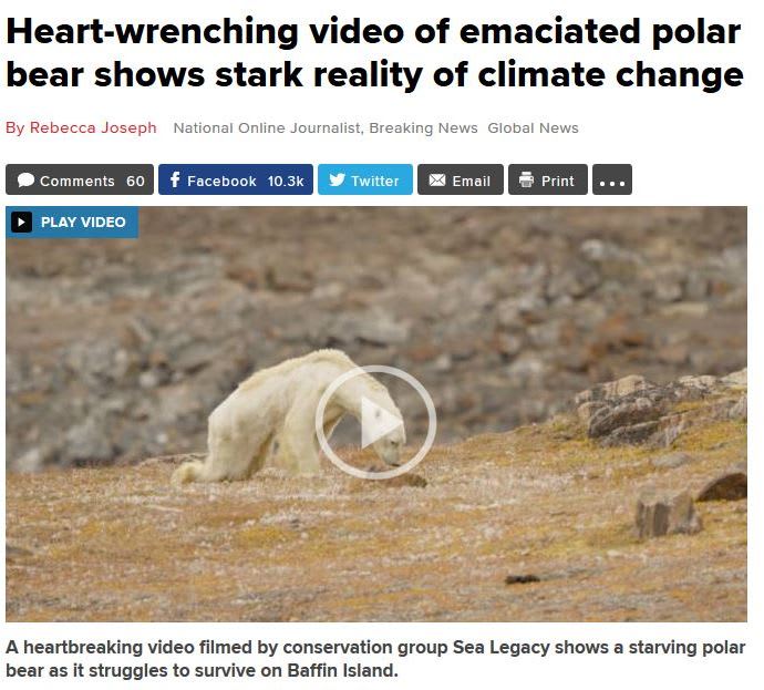 One starving bear is not evidence of climate change, despite gruesome photos