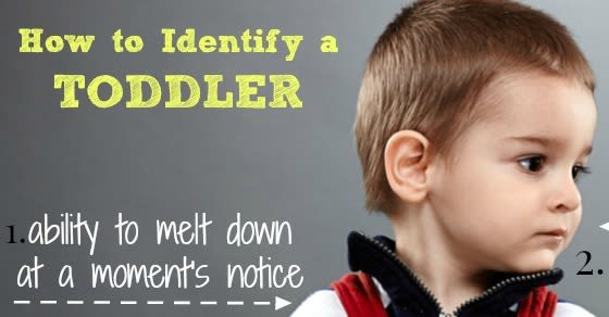 How to Identify a Toddler