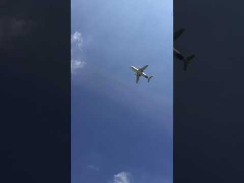 Airbus Beluga A300-600ST flying over Chester Zoo, UK
