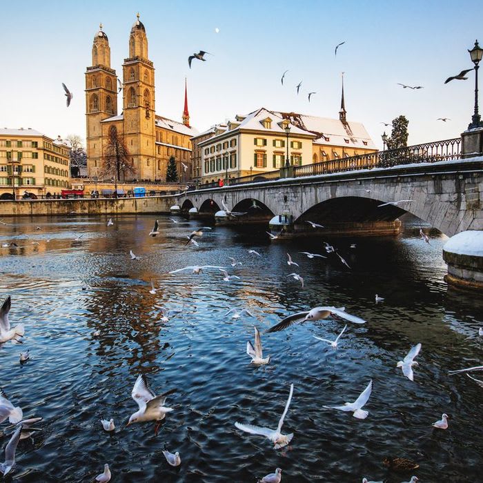 Looking for Love Will Cost You More in Zurich Than Anywhere Else