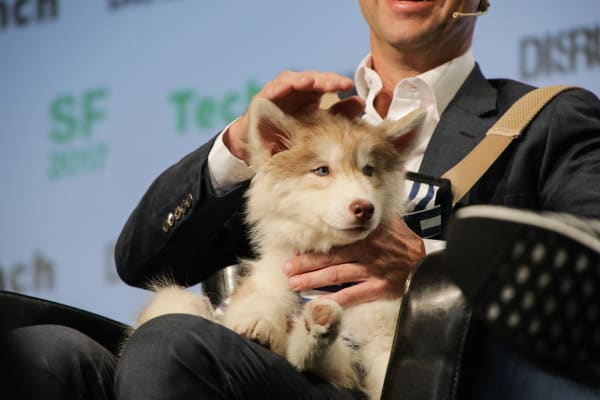 Dog-sitting startup Rover just raised $155M