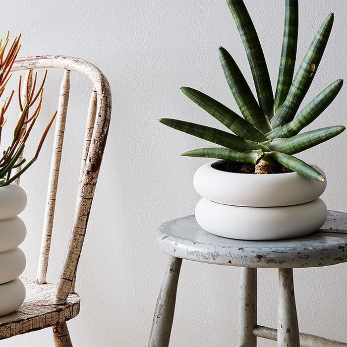 10 Green Thumb Instagrammers You Should Follow