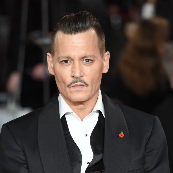 Johnny Depp recently admitted to a hilariously 'bad idea' he had during a visit to Disneyland