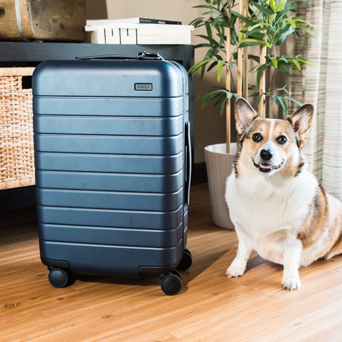 Away Suitcase: This is the Carry-on Suitcase You Want!