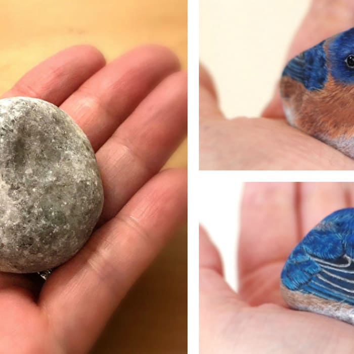 Realistic Miniature Animals Painted onto Found Stones by Akie Nakata
