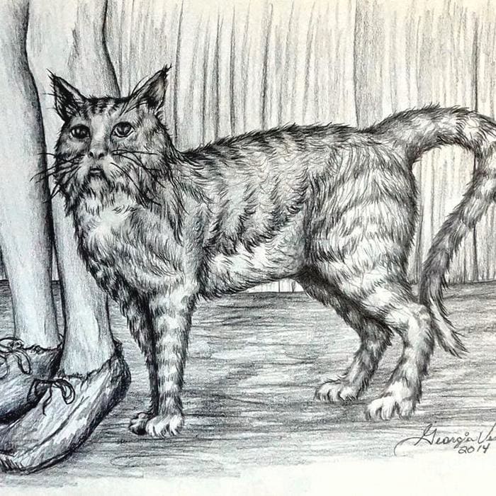 Intrigue The Cat by Georgia's Art Brush