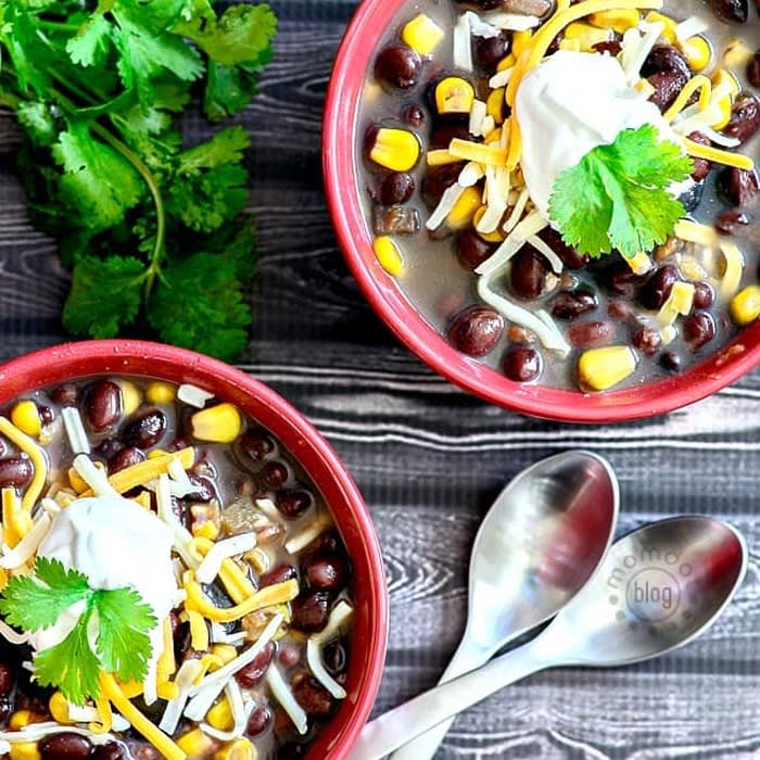 21 Slow Cooker and Instant Pot 21 Day Fix Recipes