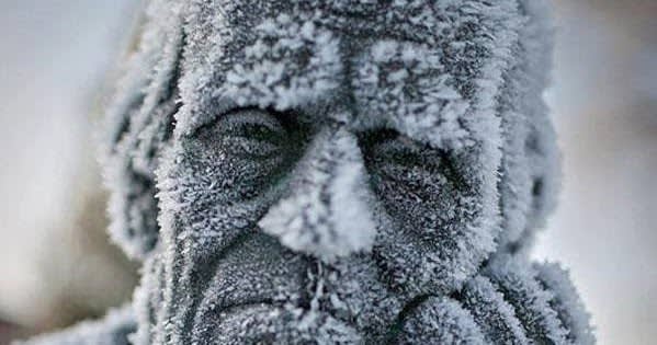 The 30 Most Amazing Photos Of Frozen Things In Honor Of The Coldest Morning Of The 21st Century