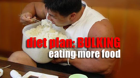 A personalized Muscle Bulking & Fat Loss Bodybuilding diet plans