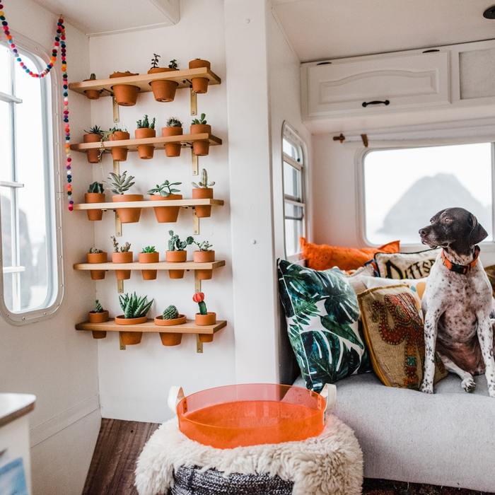 Two Dogs, Two Cats & Two Creatives in 188 Square Feet