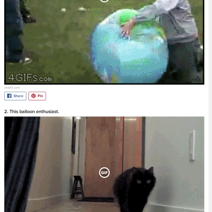 31 GIFs That Will Make You Laugh Every Time