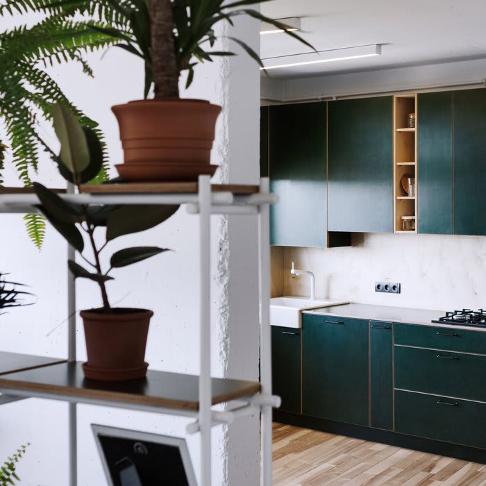 Green kitchen and wall of plants feature in low-budget apartment