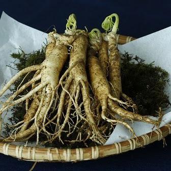 Amazing Benefits Of GINSENG Herb For Hair Growth