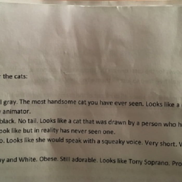 Pet sitter receives hilarious note describing the 4 cats she has to take care of