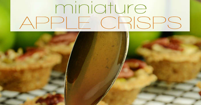 Miniature Apple Crisps