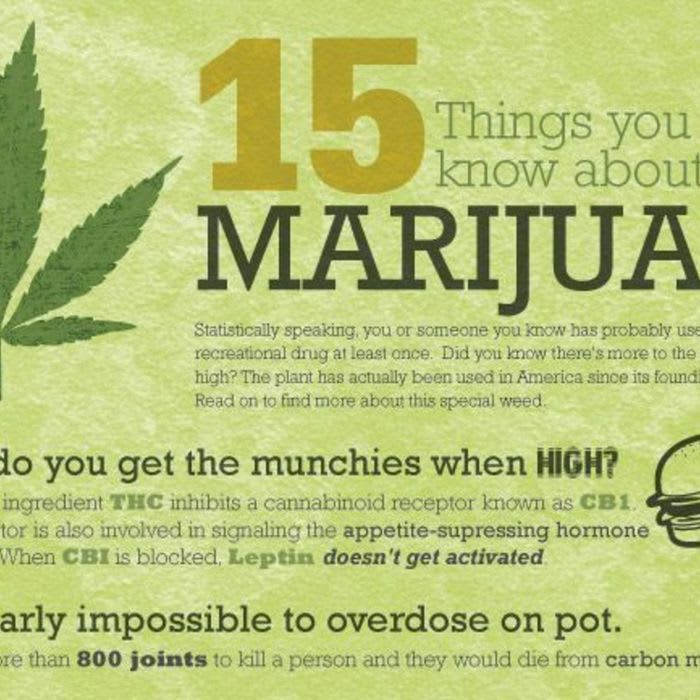 15 Things Everyone Should Know About Marijuana