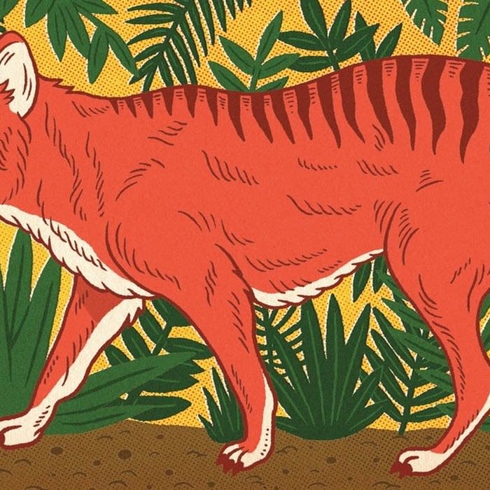 The Obsessive Search for the Tasmanian Tiger