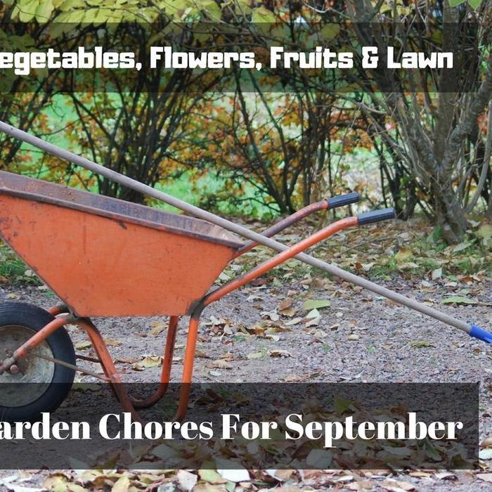 Vegetables, Flowers, Fruits & Lawn - Garden Chores For September
